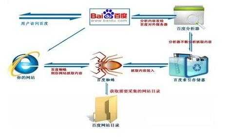 在網(wǎng)站優(yōu)化中新站如何吸引蜘蛛來(lái)抓取呢？（如何吸引百度蜘蛛收錄我的網(wǎng)頁(yè)）